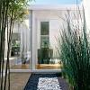 Bambus în design peisagistic