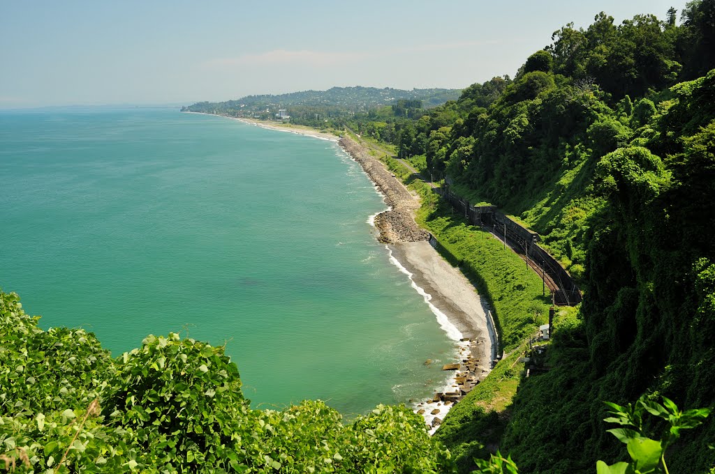 batumi_botanicheskiy_sad_2.jpg
